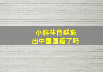 小胖林育群退出中国国籍了吗