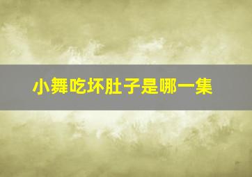 小舞吃坏肚子是哪一集