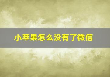 小苹果怎么没有了微信