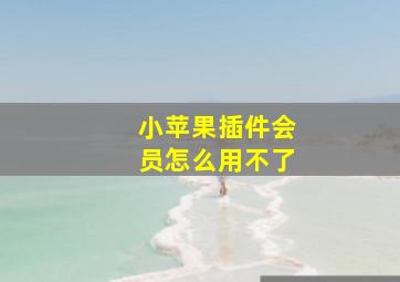 小苹果插件会员怎么用不了