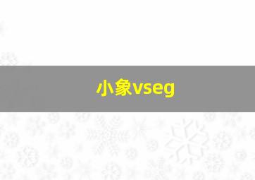 小象vseg