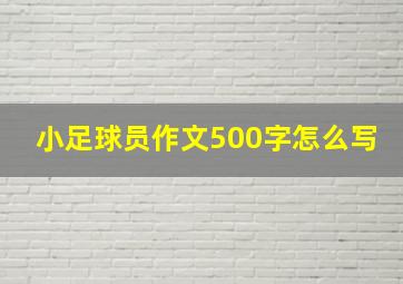 小足球员作文500字怎么写