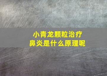 小青龙颗粒治疗鼻炎是什么原理呢