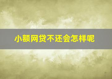 小额网贷不还会怎样呢