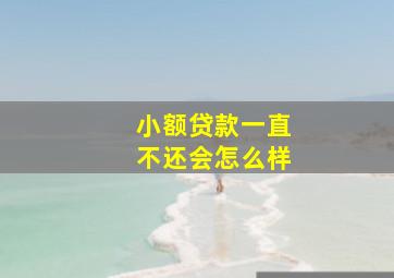 小额贷款一直不还会怎么样