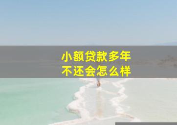 小额贷款多年不还会怎么样