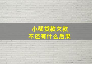 小额贷款欠款不还有什么后果