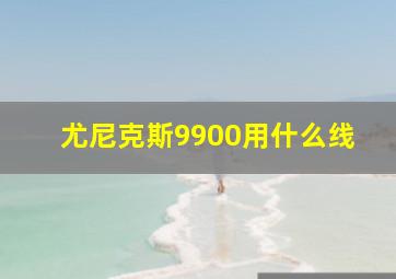 尤尼克斯9900用什么线