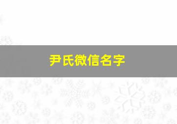 尹氏微信名字