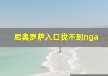 尼奥罗萨入口找不到nga