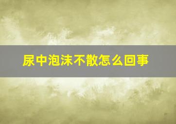 尿中泡沫不散怎么回事