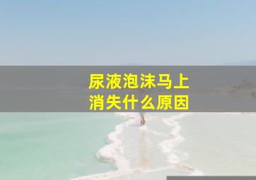 尿液泡沫马上消失什么原因