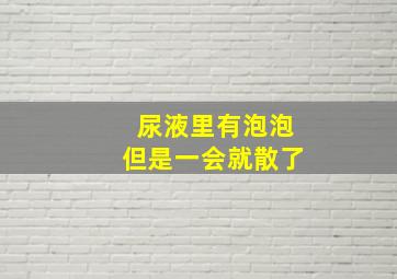 尿液里有泡泡但是一会就散了