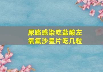 尿路感染吃盐酸左氧氟沙星片吃几粒