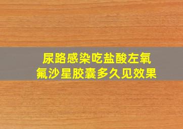 尿路感染吃盐酸左氧氟沙星胶囊多久见效果