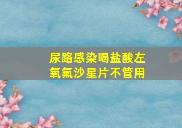 尿路感染喝盐酸左氧氟沙星片不管用