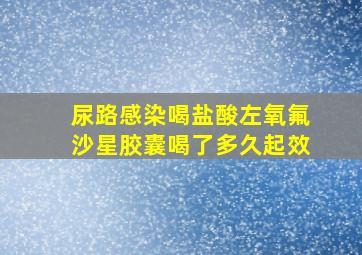 尿路感染喝盐酸左氧氟沙星胶囊喝了多久起效