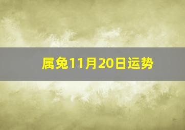 属兔11月20日运势