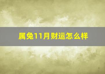 属兔11月财运怎么样