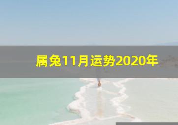 属兔11月运势2020年