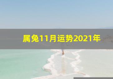 属兔11月运势2021年