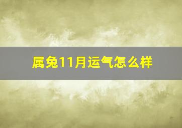 属兔11月运气怎么样