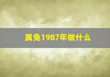 属兔1987年做什么