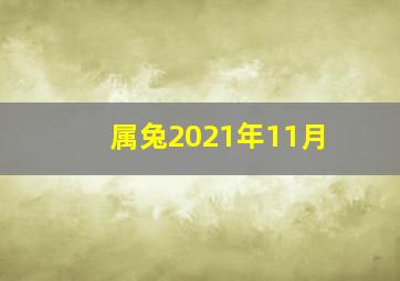 属兔2021年11月