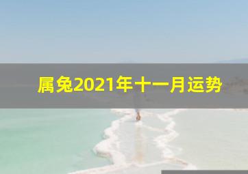 属兔2021年十一月运势