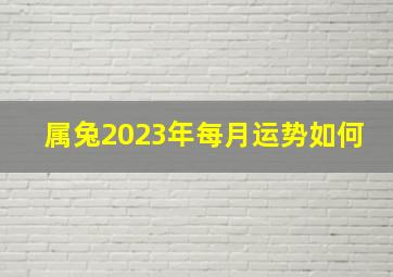 属兔2023年每月运势如何