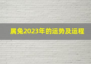 属兔2023年的运势及运程