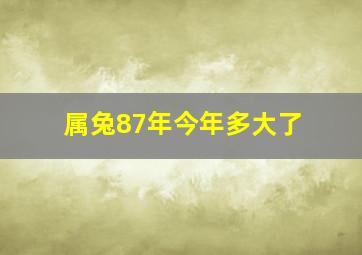 属兔87年今年多大了