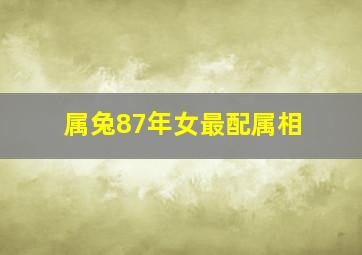 属兔87年女最配属相