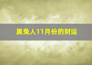 属兔人11月份的财运