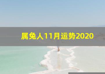 属兔人11月运势2020