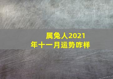 属兔人2021年十一月运势咋样