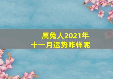 属兔人2021年十一月运势咋样呢