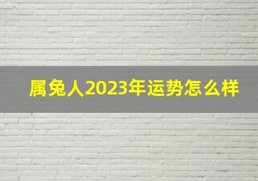 属兔人2023年运势怎么样