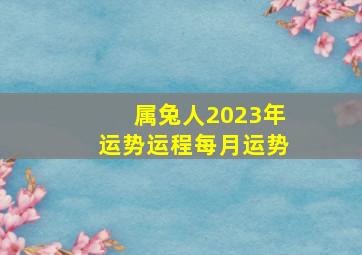 属兔人2023年运势运程每月运势