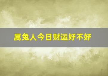 属兔人今日财运好不好