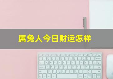 属兔人今日财运怎样