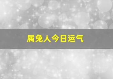 属兔人今日运气