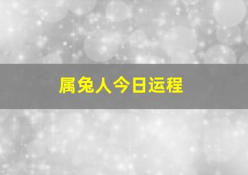 属兔人今日运程