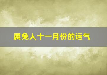 属兔人十一月份的运气