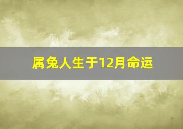 属兔人生于12月命运