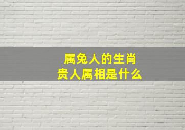 属兔人的生肖贵人属相是什么