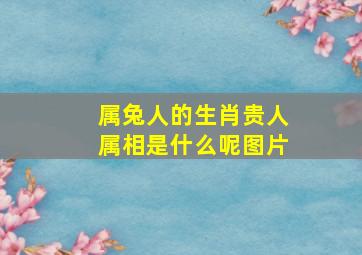 属兔人的生肖贵人属相是什么呢图片