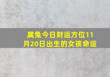 属兔今日财运方位11月20日出生的女孩命运