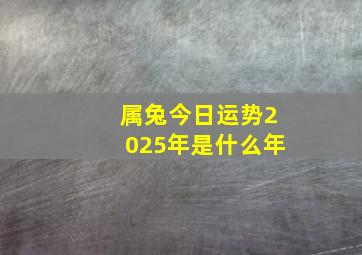 属兔今日运势2025年是什么年