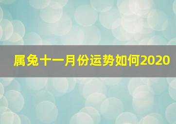 属兔十一月份运势如何2020